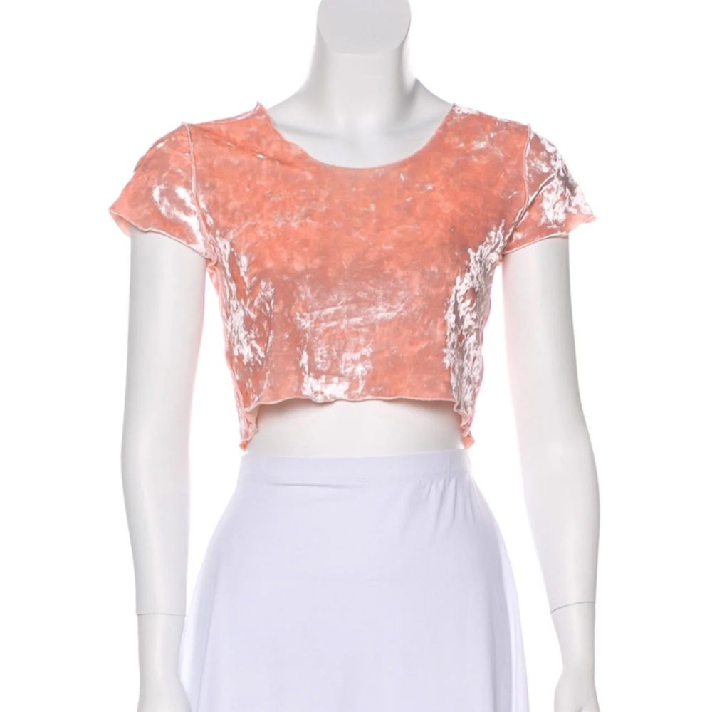 Maryam Nassir Zadeh Crushed Velvet Crop Top | Size 4